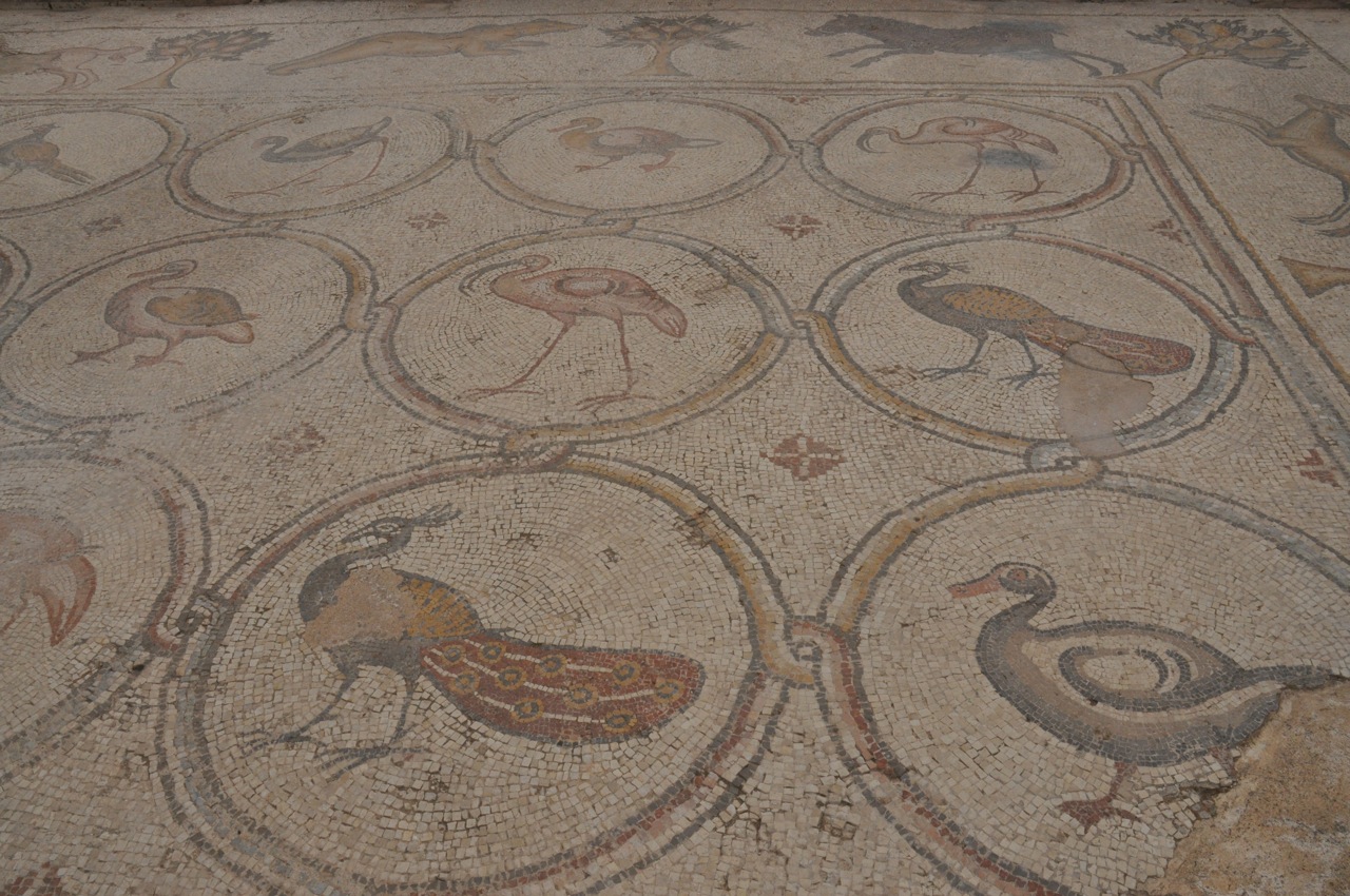 Bird Mosaic Caesarea